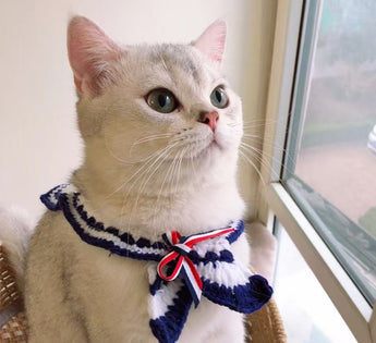 猫が着用した手編みセーラー襟ニットケープ ネイビー×ホワイト