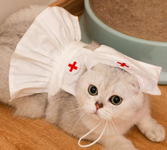 猫が着用したナース風コスプレ衣装
