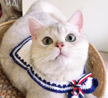 猫が着用した手編みセーラー襟ニットケープ ネイビー×ホワイト