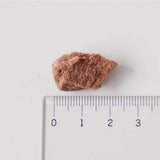 ホワイトフォックス 牛肉フリーズドライ30g 犬猫用おやつ 実物