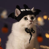 猫が着用したハロウィンコウモリニット帽子