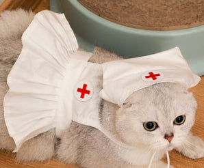 猫が着用したナース風コスプレ衣装
