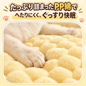 犬・猫用 ふんわり背もたれソファベッド 60×50×26cm 7.5kgまで対応