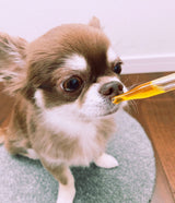 Kindrops（カインドロップス） メニクリアを使用する犬