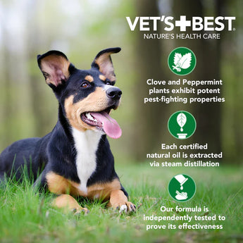 Vet's Best アンチフレアスプレーシャンプー for DOG 470ml 特徴