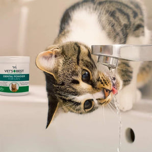 Vet's Best デンタルパウダー for CATS 45g 商品イメージ