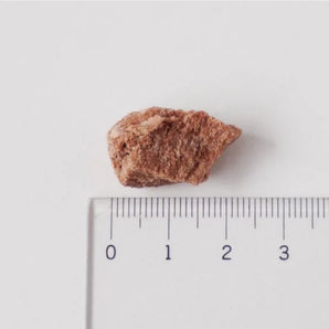 ホワイトフォックス 牛肉フリーズドライ30g 犬猫用おやつ 実物