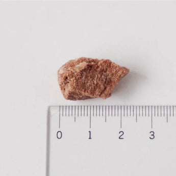 ホワイトフォックス 牛肉フリーズドライ30g 犬猫用おやつ 実物